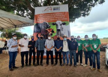 O +Pecuária Brasil é lançado com êxito no Maranhão