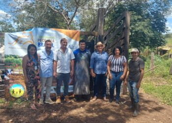 Santa Rita de Cássia, a revolução genética chega para contar a nova história da pecuária agrofamiliar baiana