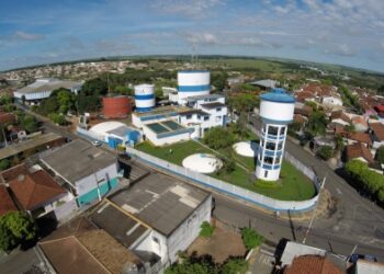 Melhoramento genético da CONAFER chega em produtores de Promissão