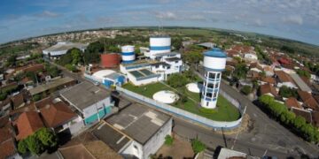 Melhoramento genético da CONAFER chega em produtores de Promissão