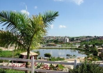 Na mineira Oliveira, mais um lançamento do  maior programa de melhoramento genético da pecuária familiar brasileira