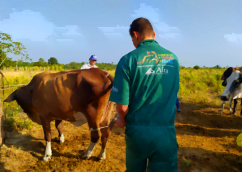 Lançamento online com 29 cidades registrou a nova marca de 1,7 mil municípios atendidos pelo programa em todo o país