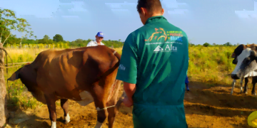 Lançamento online com 29 cidades registrou a nova marca de 1,7 mil municípios atendidos pelo programa em todo o país