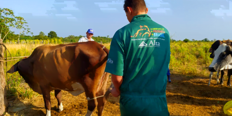 Lançamento online com 29 cidades registrou a nova marca de 1,7 mil municípios atendidos pelo programa em todo o país