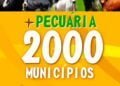 +PECUÁRIA 2000: lançamentos online de 14 de outubro selam a marca de 2 mil cidades atendidas pelo maior programa da pecuária brasileira