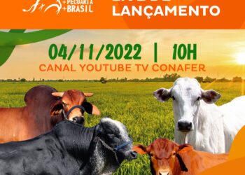 Nesta sexta-feira (4), Lançamentos Online +Pecuária Brasil avançam em mais 24 cidades