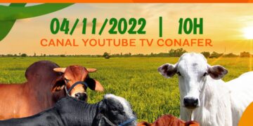 Nesta sexta-feira (4), Lançamentos Online +Pecuária Brasil avançam em mais 24 cidades