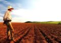 REFORMA AGRÁRIA: no Dia do Estatuto da Terra, lembramos da sua função social, econômica e libertária