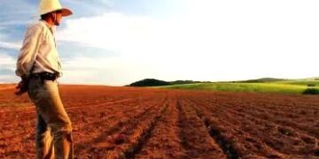 REFORMA AGRÁRIA: no Dia do Estatuto da Terra, lembramos da sua função social, econômica e libertária