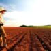 REFORMA AGRÁRIA: no Dia do Estatuto da Terra, lembramos da sua função social, econômica e libertária