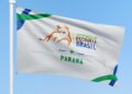 +PECUÁRIA PARANÁ: maior programa de melhoramento genético do Brasil conquista 162 cidades e revoluciona a pecuária paranaense
