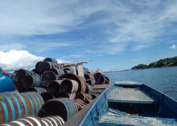 CONAFER AMAZONAS: indígenas produtores de piaçaba se associam à Confederação; vassouras impulsionam a economia de Barcelos