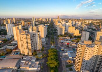 Campo Grande E Mais 32 Municípios, De 17 Estados, Aderem Ao Maior Programa Genético Da Bovinocultura Nacional