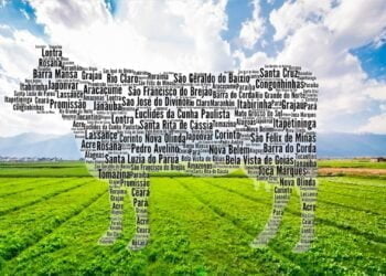 Com 100% Do País Coberto, Participação Dos Estados No Maior Programa Genético Brasileiro É Maciça