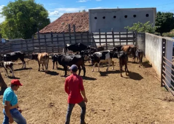 CONAFER NA AGROBRASÍLIA: na maior feira do Planalto Central, Confederação apresenta os seus projetos