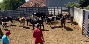 CONAFER NA AGROBRASÍLIA: na maior feira do Planalto Central, Confederação apresenta os seus projetos