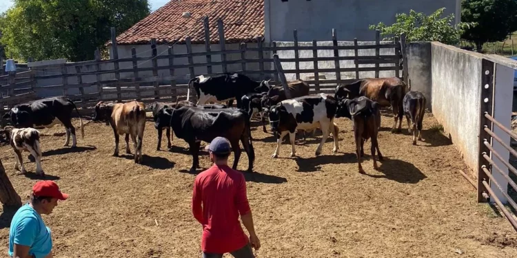 CONAFER NA AGROBRASÍLIA: na maior feira do Planalto Central, Confederação apresenta os seus projetos