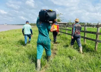1º DE MAIO CONAFER: Confederação celebra data que inspira a missão de trabalhar pelos agrofamiliares brasileiros
