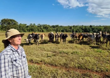 +PECUÁRIA BRASIL: programa revoluciona a vida de pequenos produtores em todo o país