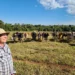 +PECUÁRIA BRASIL: programa revoluciona a vida de pequenos produtores em todo o país