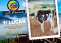 +PECUÁRIA BRASIL: concurso premia fotos dos 2 anos do programa no Nordeste