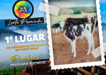 +PECUÁRIA BRASIL: concurso premia fotos dos 2 anos do programa no Nordeste