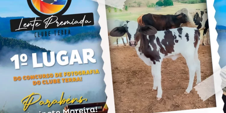 +PECUÁRIA BRASIL: concurso premia fotos dos 2 anos do programa no Nordeste