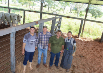 +PECUÁRIA BRASIL: a maior revolução genética do campo na pequena Murutinga do Sul-SP
