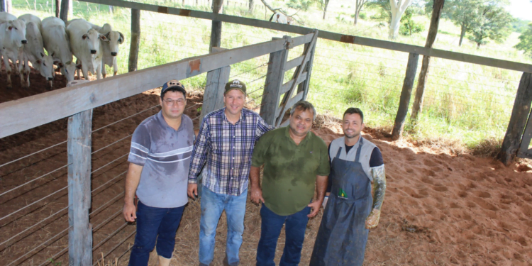 +PECUÁRIA BRASIL: a maior revolução genética do campo na pequena Murutinga do Sul-SP