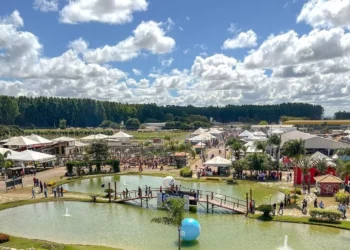 +PECUÁRIA BRASIL: CONAFER e EMATER-DF fortalecem parceria durante a AgroBrasília