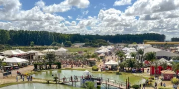 +PECUÁRIA BRASIL: CONAFER e EMATER-DF fortalecem parceria durante a AgroBrasília