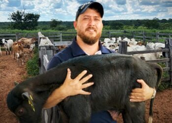 PROGRAMA +PECUÁRIA BRASIL: alavancando a eficiência produtiva e sustentável da agropecuária