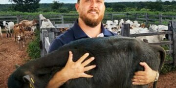 PROGRAMA +PECUÁRIA BRASIL: alavancando a eficiência produtiva e sustentável da agropecuária