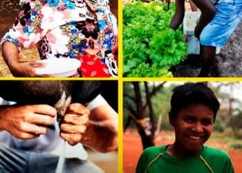 CONAFER SOLIDÁRIA: no Dia Mundial da Alimentação, ações da Confederação de combate à fome