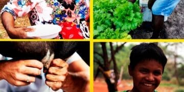 CONAFER SOLIDÁRIA: no Dia Mundial da Alimentação, ações da Confederação de combate à fome