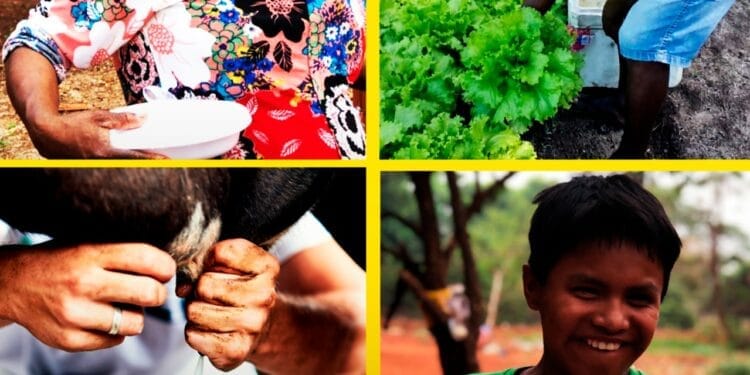 CONAFER SOLIDÁRIA: no Dia Mundial da Alimentação, ações da Confederação de combate à fome