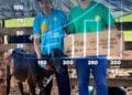 +PECUÁRIA BRASIL: em 3 anos, programa gera mais de R$ 300 milhões de bezerros melhorados no país