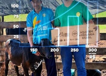 +PECUÁRIA BRASIL: em 3 anos, programa gera mais de R$ 300 milhões de bezerros melhorados no país