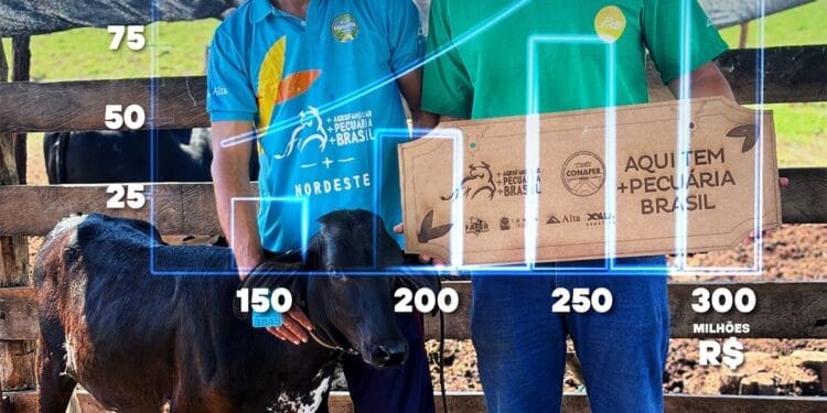 +PECUÁRIA BRASIL: em 3 anos, programa gera mais de R$ 300 milhões de bezerros melhorados no país