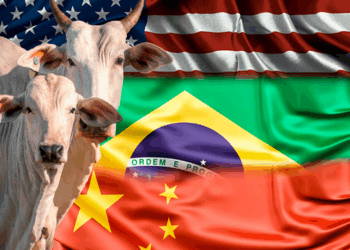 +PECUÁRIA BRASIL: China suspende importação de 390 frigoríficos dos EUA; compra de mais carne brasileira pode afetar mercado interno