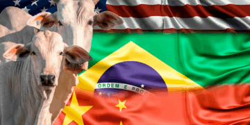 +PECUÁRIA BRASIL: China suspende importação de 390 frigoríficos dos EUA; compra de mais carne brasileira pode afetar mercado interno