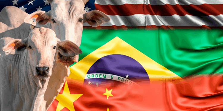 +PECUÁRIA BRASIL: China suspende importação de 390 frigoríficos dos EUA; compra de mais carne brasileira pode afetar mercado interno