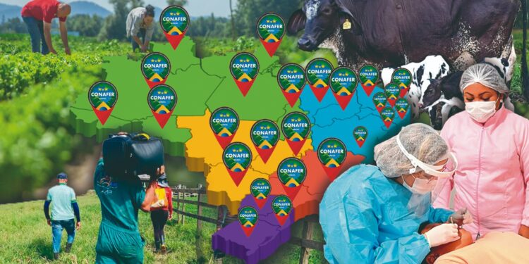 CONAFER BRASIL: programas e ações da Confederação devem atingir, em 2025, mais de 1 milhão de agricultores familiares brasileiros nas cinco regiões