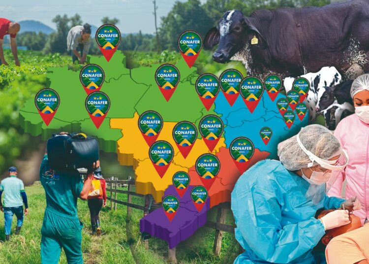 CONAFER BRASIL: programas e ações da Confederação devem atingir, em 2025, mais de 1 milhão de agricultores familiares brasileiros nas cinco regiões