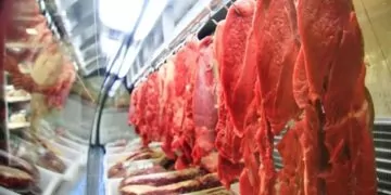 Embargo Chinês Pode Reduzir Preço Da Carne; Caso Isolado De EEB Não Oferece Risco De Transmissão
