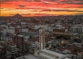 Patos Comemora Novos Bezerros; Programa Está Em 56% Dos Municípios Da Paraíba