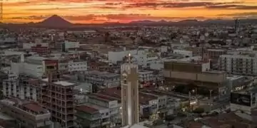 Patos Comemora Novos Bezerros; Programa Está Em 56% Dos Municípios Da Paraíba