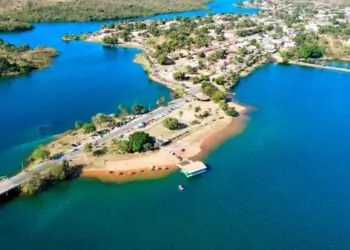 Na Bela São Domingos, Em Goiás, Mais Uma Conquista Da Revolução Genética Da Bovinocultura Brasileira