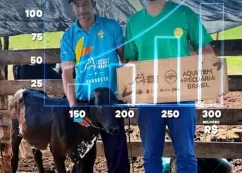 +PECUÁRIA BRASIL: em 3 anos, programa gera mais de R$ 300 milhões de bezerros melhorados no país